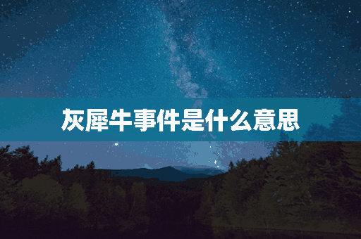 灰犀牛事件是什么意思(灰犀牛事件是什么意思举例)